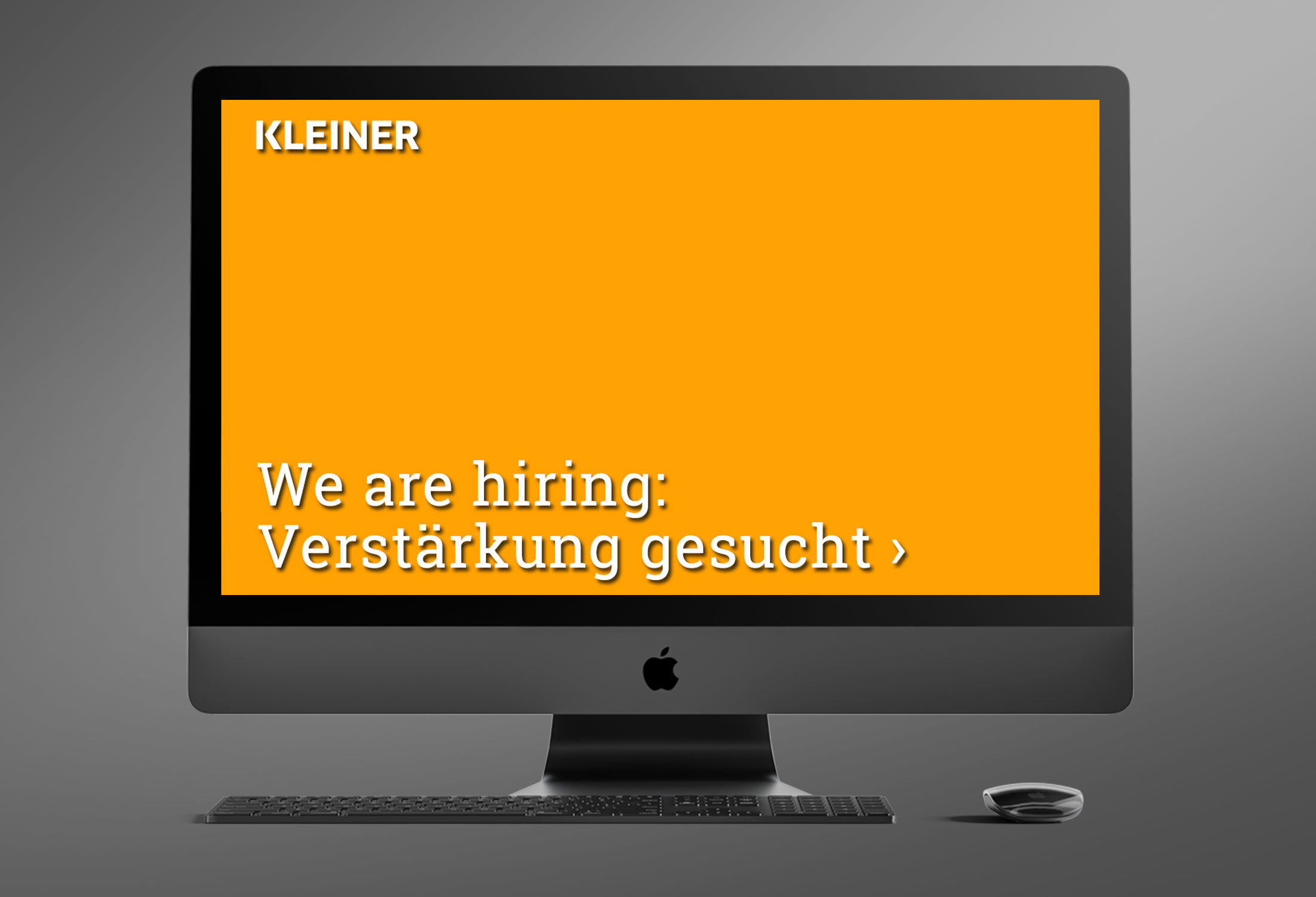 Kanzleimarketing-zB Kanzleiwebsite Kleiner Rechtsanwälte