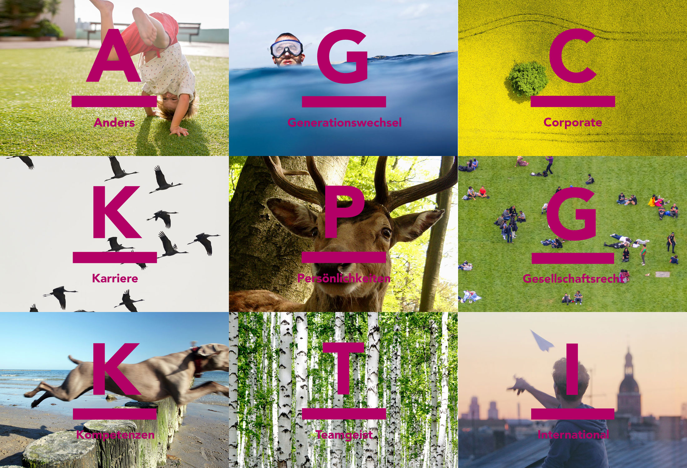 Kanzleimarketing-zB Kampagnenmotive Corporate Design Rittershaus rechtsanwälte Steuerberater